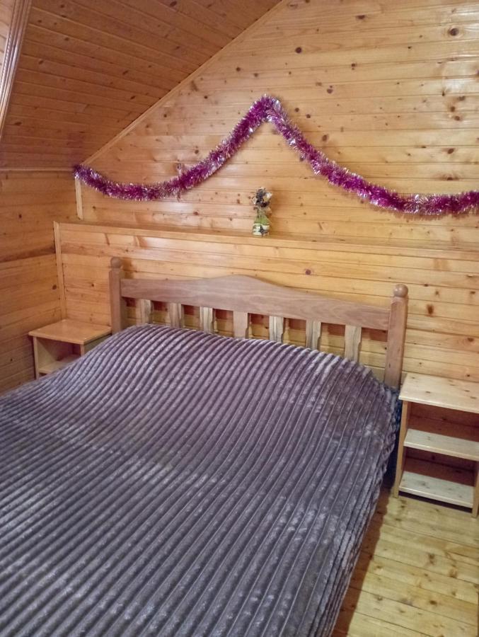 Holiday Home Melodiya Karpat Яремча Экстерьер фото
